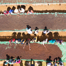 Load image into Gallery viewer, Ethiopian Sidamo
