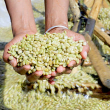 Load image into Gallery viewer, Ethiopian Yirgacheffe
