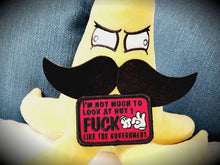 Load image into Gallery viewer, I&#39;m Not Much to Look At But I Fuck Like The Government - V.2.0 - 2x3 Patch
