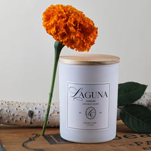 Load image into Gallery viewer, Laguna Candle Golden Dunes luxury - Coconut Wax | 13oz (369)
