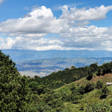 Load image into Gallery viewer, RFA Colombia
