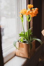 Load image into Gallery viewer, Leather Tabletop Planter  - USA Made
