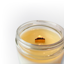 Load image into Gallery viewer, Burn Candles, Not Books – Phthalate-Free Soy Wax Candle
