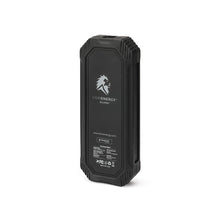 Load image into Gallery viewer, Lion Eclipse Mag
