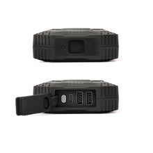 Load image into Gallery viewer, Lion Eclipse Mag
