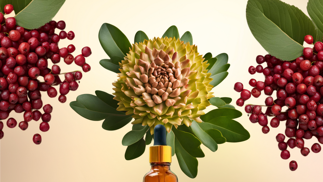 Long Rhode ✦ Rhodiola + Schisandra Adaptogen Blend