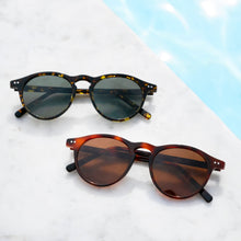 Load image into Gallery viewer, Brown Tortoise Polarized Round Sunglass - Rodgers
