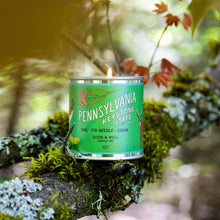 Load image into Gallery viewer, Pennsylvania State Candle
