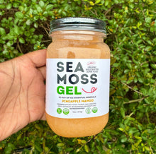 Load image into Gallery viewer, Flavored Sea Moss Gel - Dr. Sebi Inspired 100% Raw Organic - Wild Harvested Sea Moss
