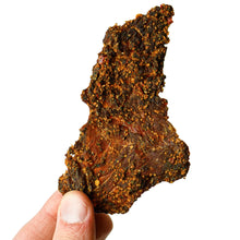 Load image into Gallery viewer, Elijah’s Xtreme Beef Jerky Bulk Trio - 6 bags of Each Flavor, 18 bags total (3lbs)
