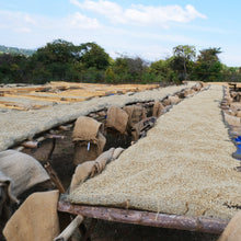 Load image into Gallery viewer, Sumatra Gayo
