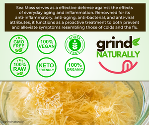 Sea Moss Energy Drink - 12oz