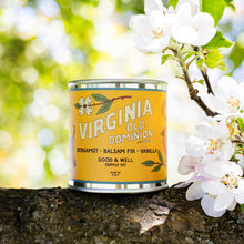Load image into Gallery viewer, Virginia State Candle

