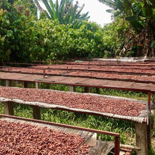Load image into Gallery viewer, 75% Vietnam Dark Chocolate
