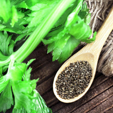 Load image into Gallery viewer, Celery Seeds (Whole)
