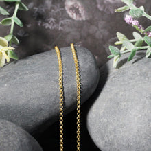 Load image into Gallery viewer, 14k Yellow Gold Rolo Chain 1.9mm
