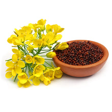 Load image into Gallery viewer, Brown Mustard Seeds (Whole)
