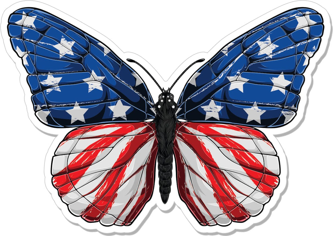 American Flag Butterfly - 4