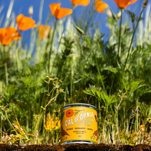 Load image into Gallery viewer, California State Candle
