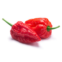 Load image into Gallery viewer, Ghost Pepper Powder

