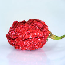 Load image into Gallery viewer, Ghost Pepper Salt (Naga Jolokia) – XXX Extra Hot
