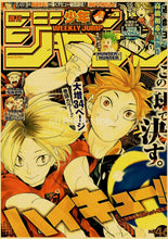 Load image into Gallery viewer, DecorBites™ Anime Poster Collection: Chainsaw Man, Attack on Titan, Haikyuu
