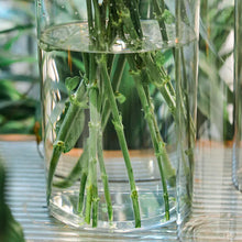 Load image into Gallery viewer, DecorBites™ Clear Acrylic Cylinder Vase for Weddings
