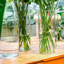 Load image into Gallery viewer, DecorBites™ Clear Acrylic Cylinder Vase for Weddings
