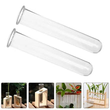 Load image into Gallery viewer, DecorBites™ Clear Glass Test Tube Vases for Plants
