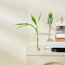 Load image into Gallery viewer, DecorBites™ Clear Plastic Test Tube Vase for Home Decor
