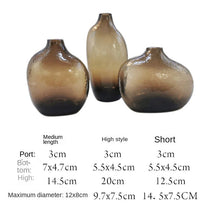 Load image into Gallery viewer, DecorBites™ Geometric Zen Glass Vase for Single Flower Arrangement
