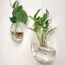 Load image into Gallery viewer, DecorBites™ Modern Hanging Glass Vase for Home Decor

