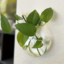 Load image into Gallery viewer, DecorBites™ Modern Hanging Glass Vase for Home Decor
