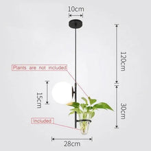 Load image into Gallery viewer, DecorBites™ Pendant Planter Light
