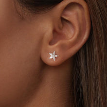 Load image into Gallery viewer, 925 Sterling Silver Earrings with Pavé CZ Setting
