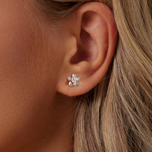 Load image into Gallery viewer, S925 Sterling Silver 3.00 Carat Moissanite Earrings for Women
