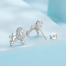 Load image into Gallery viewer, 925 Sterling Silver White Gold Plated Pavé CZ Earrings
