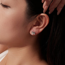 Load image into Gallery viewer, 925 Sterling Silver Brass White Gold Plated Earrings with CZ for Women
