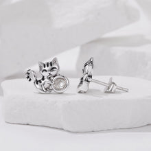 Load image into Gallery viewer, 925 Sterling Silver Brass White Gold Plated Earrings with CZ for Women
