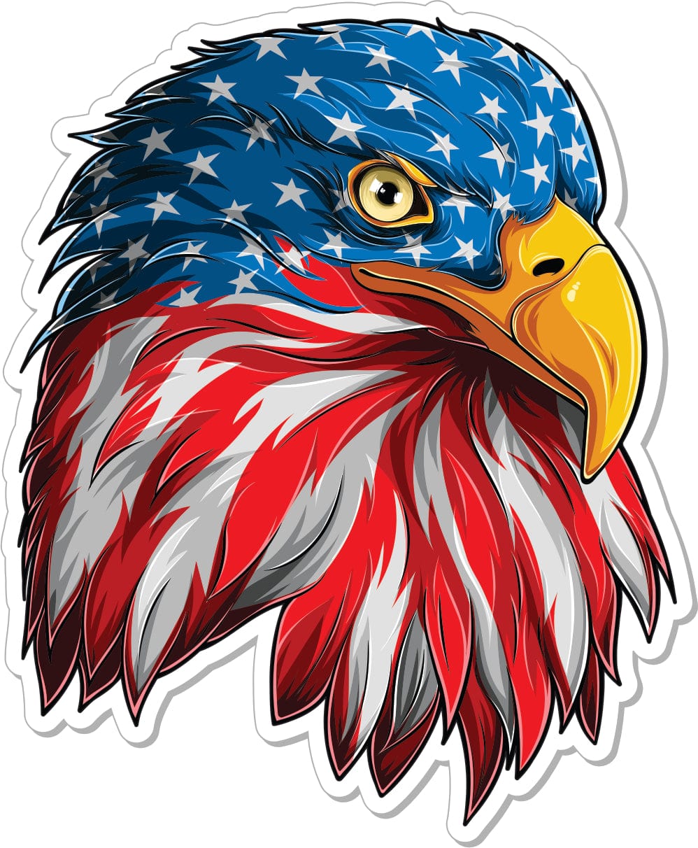 American Flag Eagle - 4