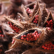 Load image into Gallery viewer, Annatto Seeds (Ground)
