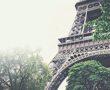 Load image into Gallery viewer, French Roast
