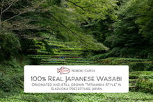 Load image into Gallery viewer, Fresh Japanese Wasabi Root + Steel Shark Grater Bundle
