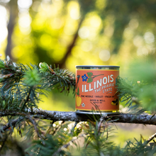 Load image into Gallery viewer, Illinois State Candle
