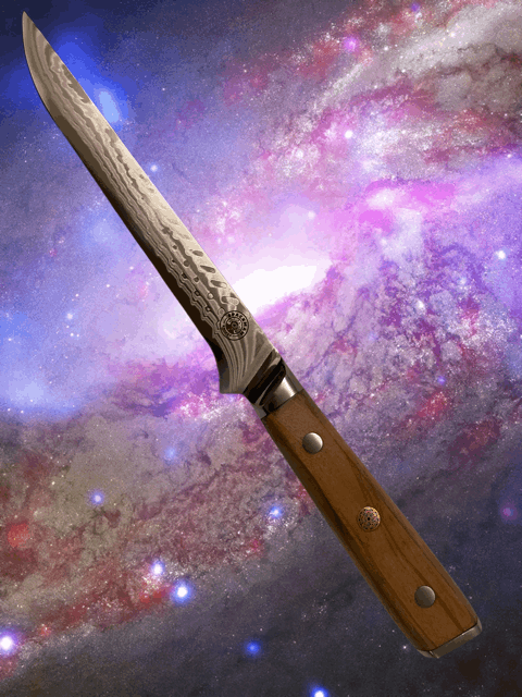 Interstellar Boning Knife