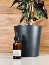 Load image into Gallery viewer, Pure Essential Oils - Woodsy
