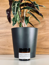 Load image into Gallery viewer, Whipped Moisturizing Cream - Woodsy
