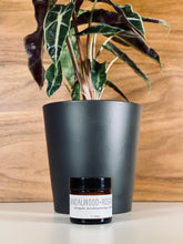 Load image into Gallery viewer, Whipped Moisturizing Cream - Woodsy
