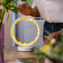 Load image into Gallery viewer, Infinite Abundance: Citrine Lamp of Manifestation
