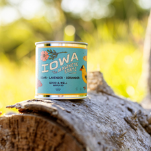 Load image into Gallery viewer, Iowa State Candle
